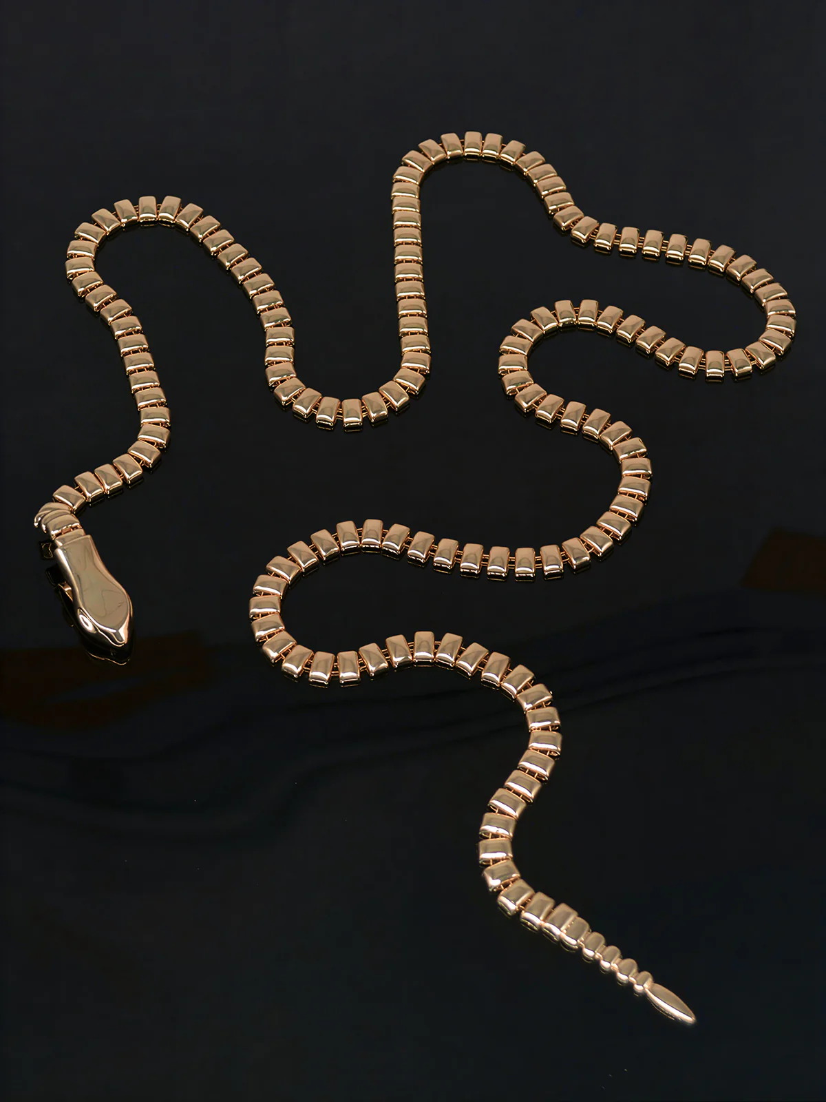 Snake Chain Belt - Image 3